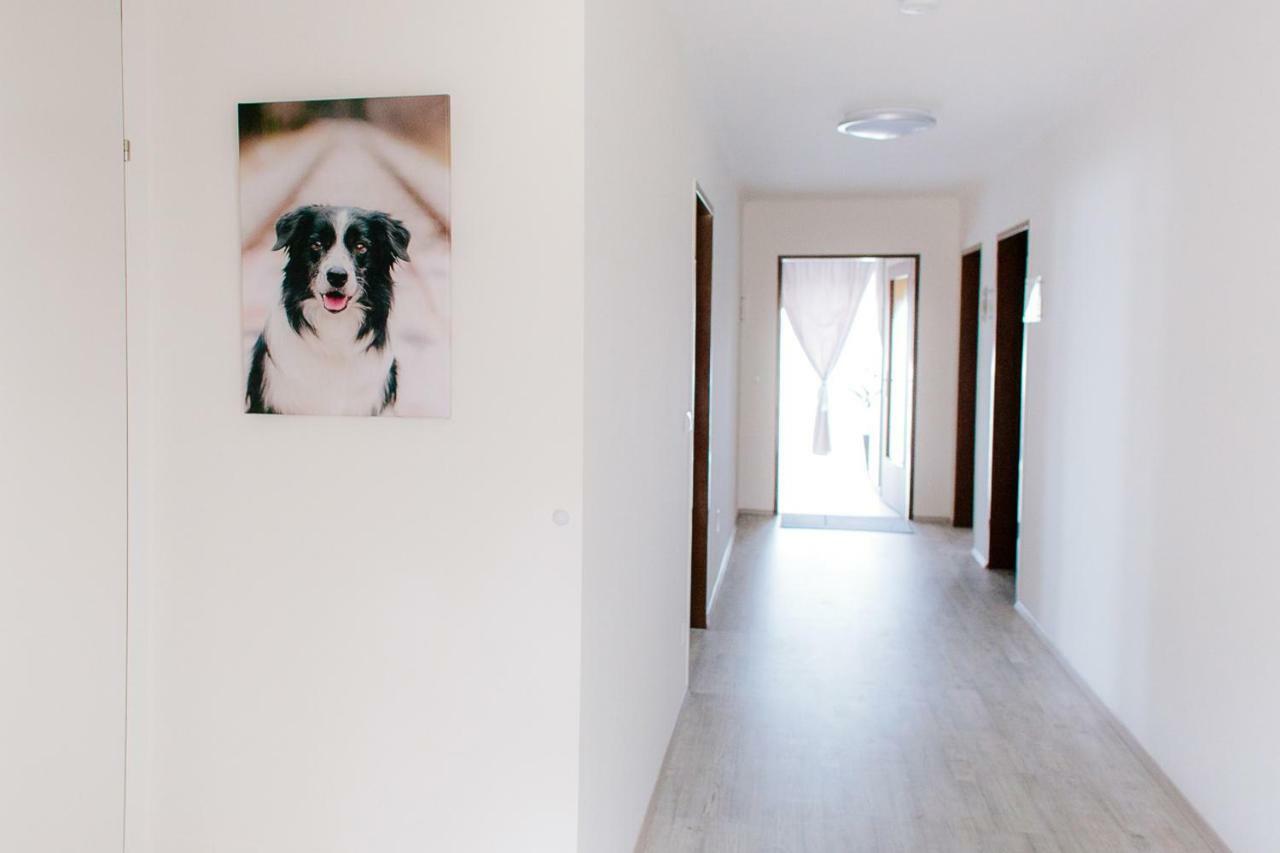 Steira-Studios Ehrenhausen Exterior photo